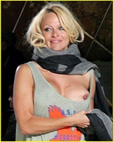 pamela-anderson_05.jpg - 94 KB