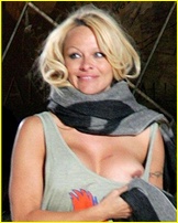 pamela-anderson_06.jpg - 105 KB