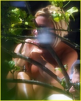 victoria-beckham_07.jpg - 120 KB