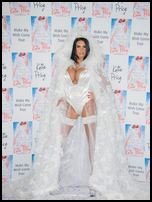 Katie Price Nude Pictures