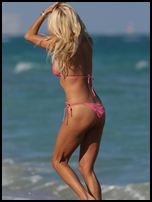 Victoria Silvstedt Nude Pictures