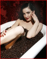 dita-von-teese_05.jpg - 158 KB