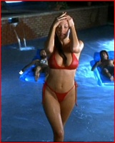 nikki-cox_02.jpg - 91 KB