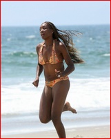 venus-williams_12.jpg - 151 KB