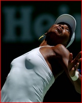 venus-williams_15.jpg - 96 KB